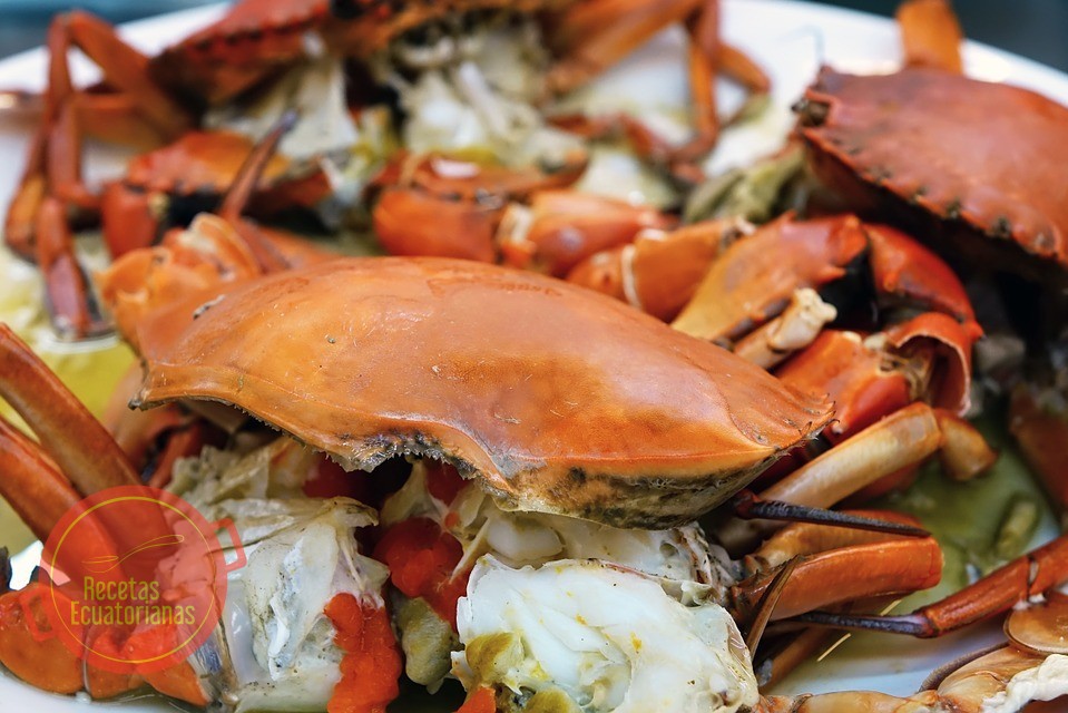Carapacho de cangrejo relleno